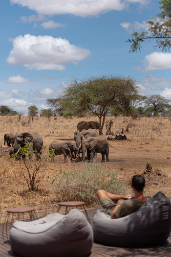 Nimali Tarangire Camp: Blick aufs Wasserloch