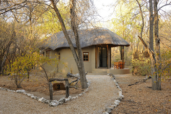 Onguma Forest Camp: Honeymoon Suite