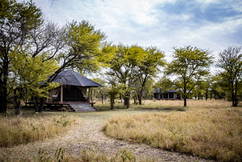 Serian Serengeti Lamai: Zelte im Busch