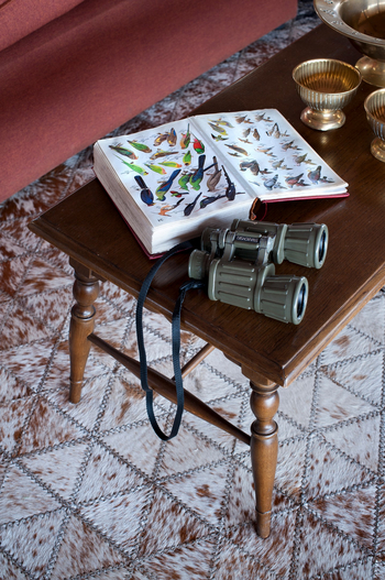 Somalisa Camp Somalisa Camp: Fernglas