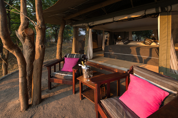 Tena Tena Camp Tena Tena Camp: Gästezelt - Sekt auf der Terrasse