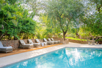 Thornybush Game Lodge: Liegen am Pool