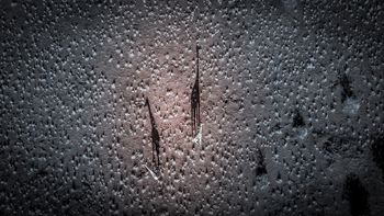 Bagatelle Kalahari Game Ranch: Giraffenluftbild