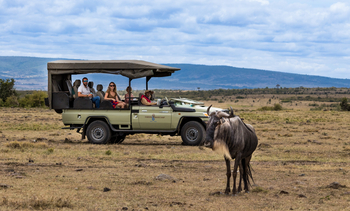 Basecamp Masai Mara: Gnu frontal