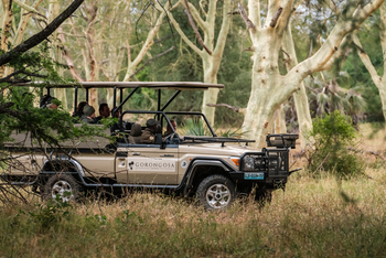 Gorongosa Safaris: Game Drive mit Gorongosa