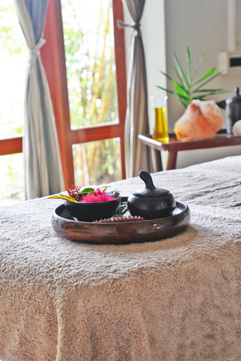 Jim's Jungle Retreat: Spa