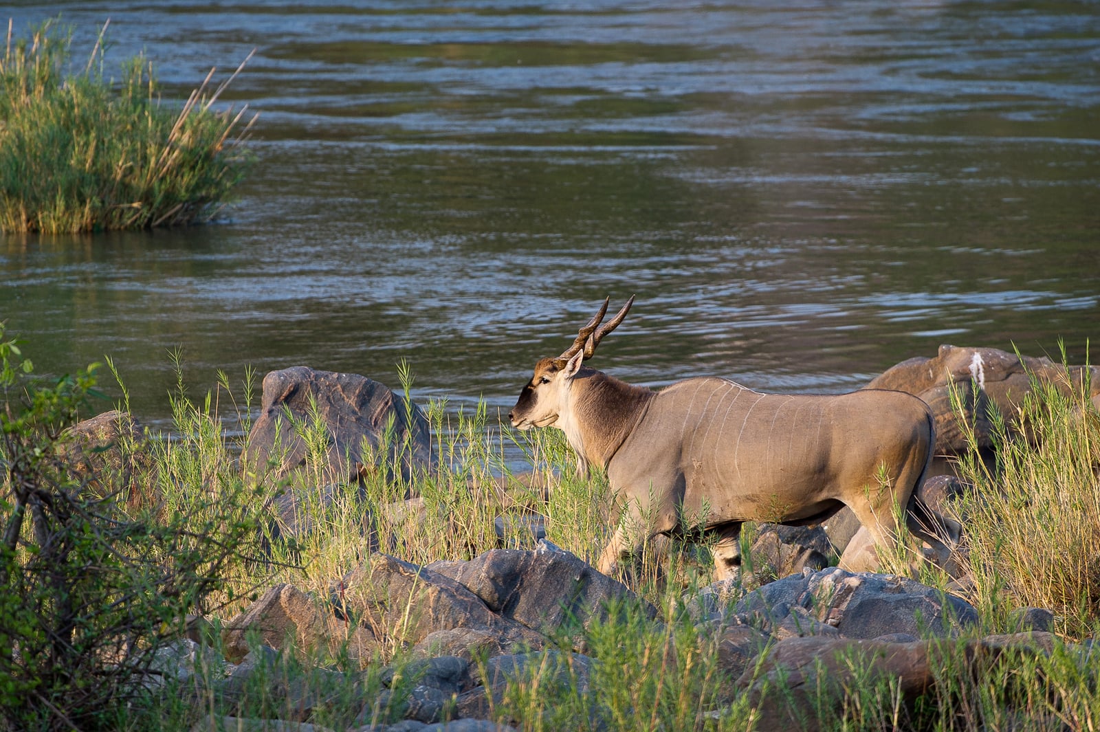 Mkulumadzi Lodge Mkulumadzi Lodge