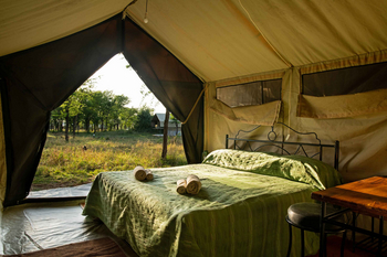 Mara Kati Kati Tented Camp: Metallbett mit grünem Überwurf und Licht