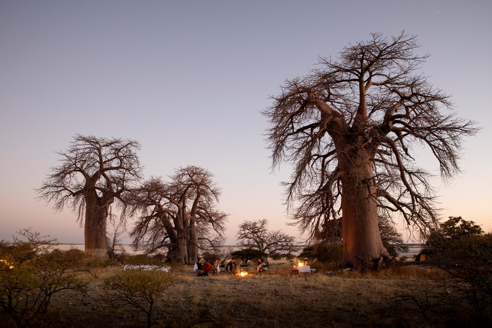 Camp Kalahari Camp Kalahari: Feuer zwischen Baobabs