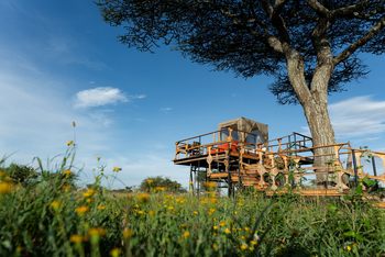 Olmara Camp: Sleep-put Deck unter einem Baum