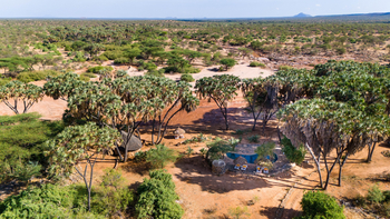 Saruni Rhino Camp: Pool Überblick