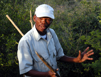 Tau Pan Camp Tau Pan Camp: San Guide Scuba