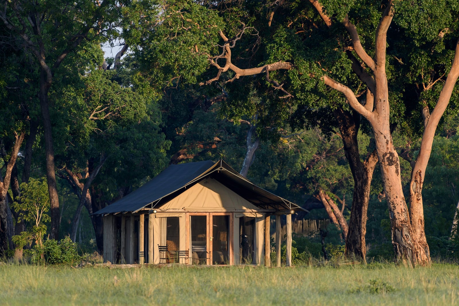 Davison's Camp Davison's Camp: Zelt tagsüber