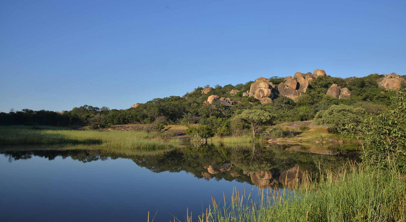 Amalinda Lodge Amalinda Lodge