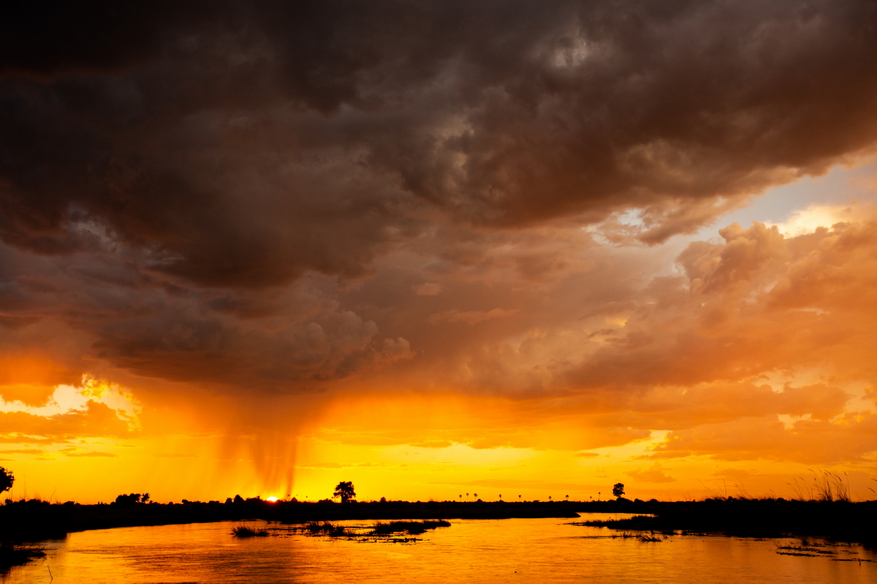 Duba Plains Camp