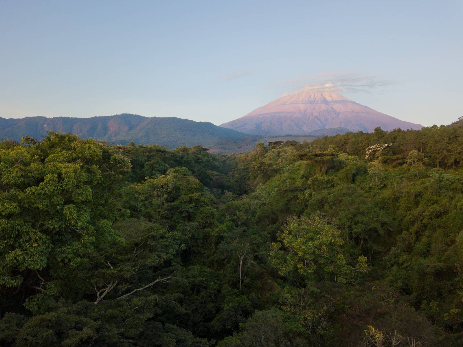 Katambuga House Katambuga House: Mt. Meru