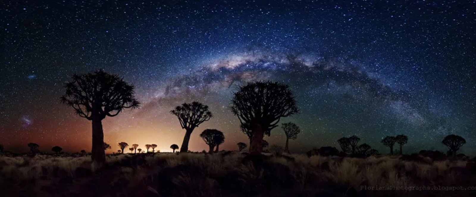 Koiimasis Ranch Koiimasis Ranch: Köcherbaumwald