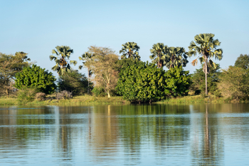Kuthengo Camp: Landschaft