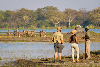 Kuthengo Camp: Walking Safari
