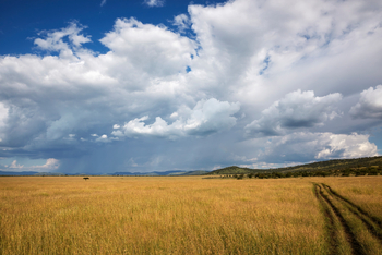 Laba Migration Camp: Weites Feld