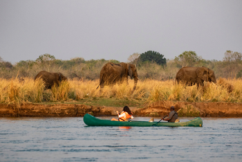 Little Ruckomechi Camp: Kanu vor Elefanten