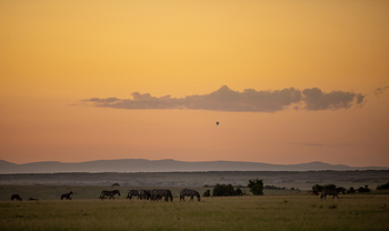 Mara Toto Tree Camp: Heißluftballon