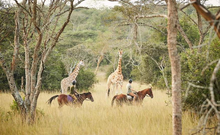 Mihingo Lodge