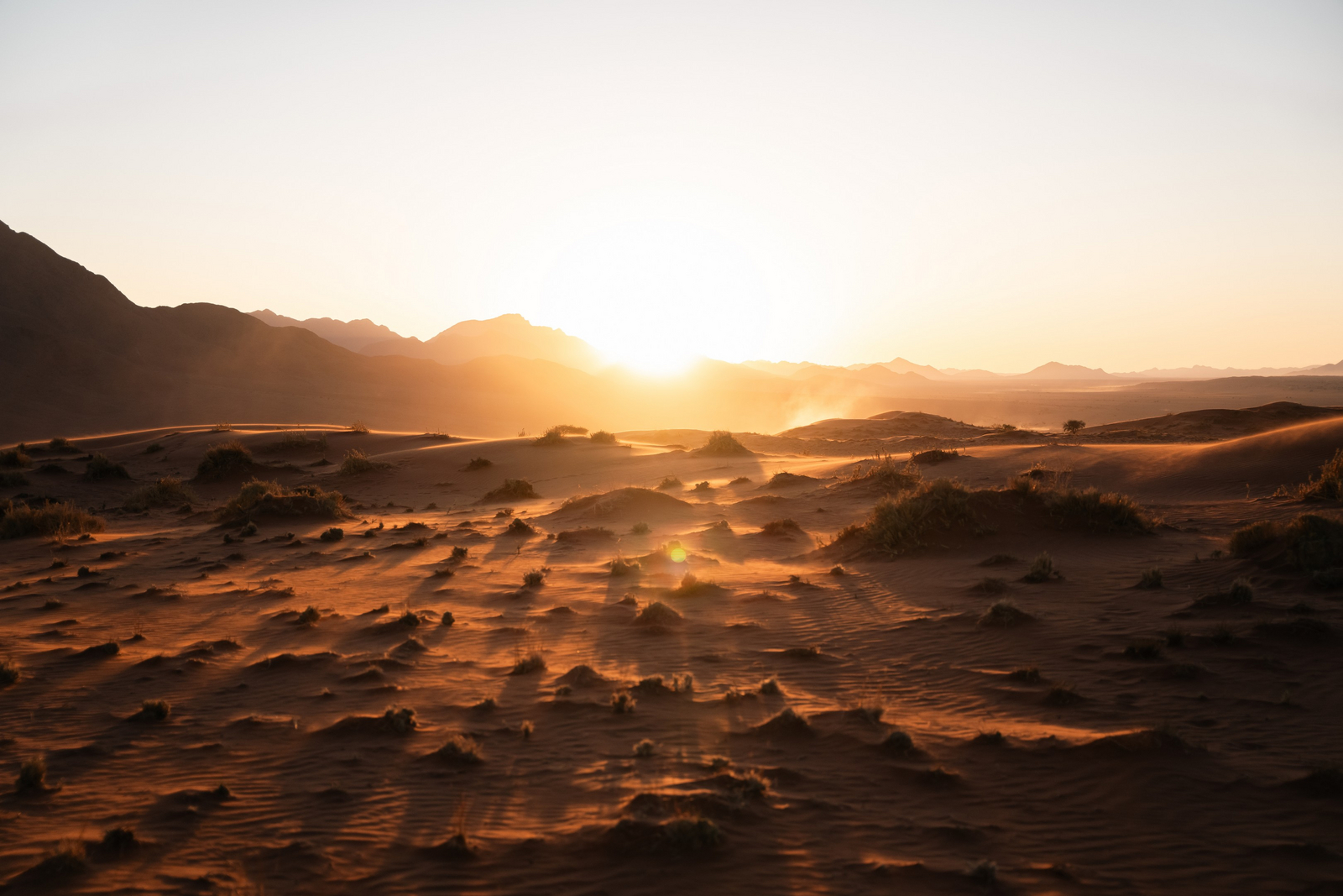 Wolwedans Desert Lodge Wolwedans Desert Lodge: Gräser und Schatten
