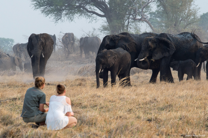 Nambwa Tented Lodge