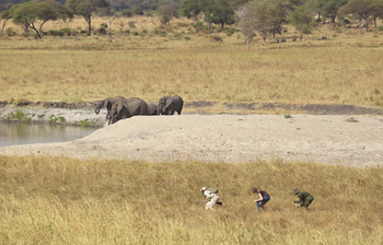 Oliver's Camp: Pirsch