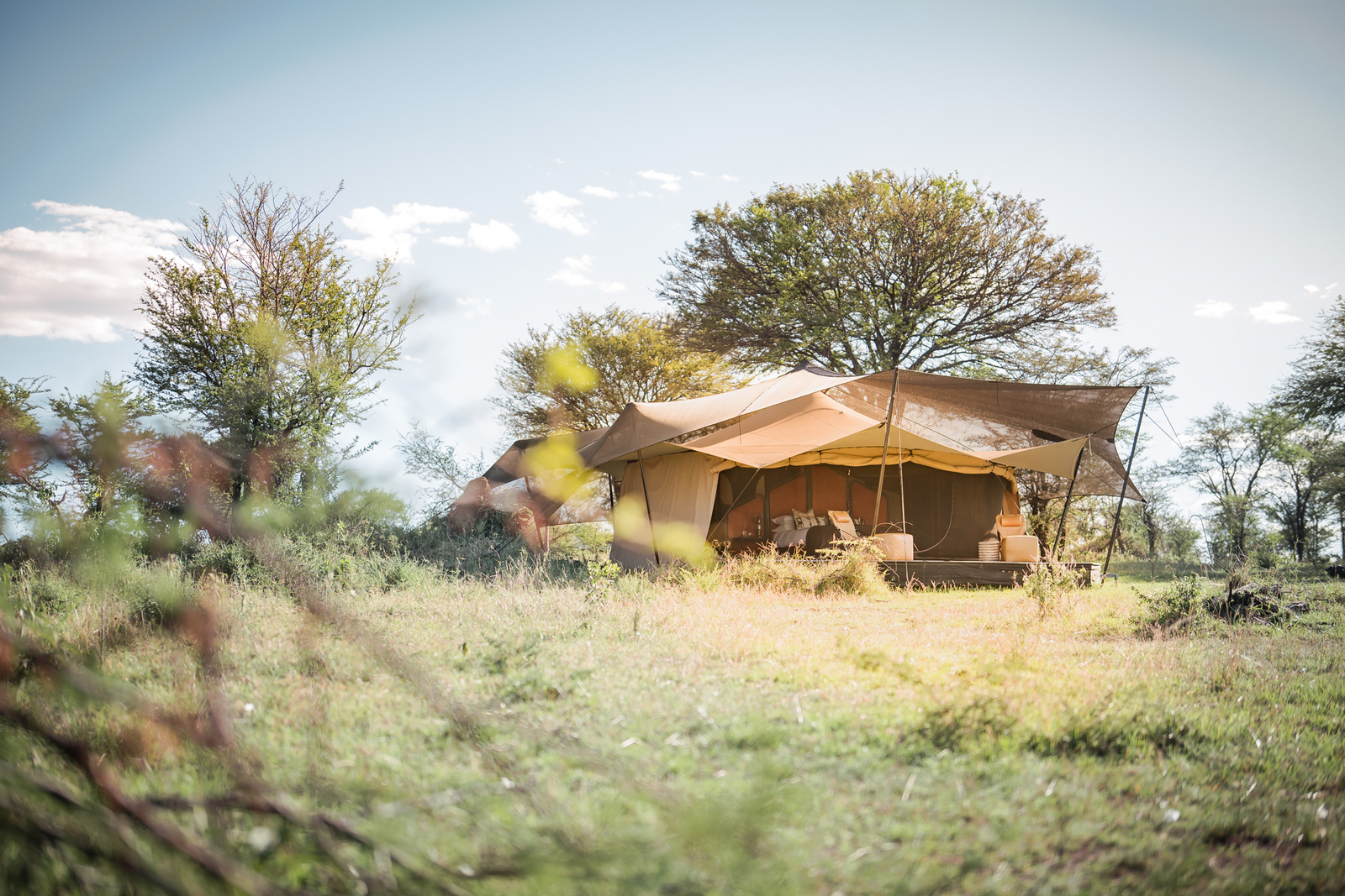 Siringit Migration Camp Siringit Migration Camp: Einzelnes Gästezelt