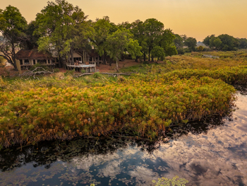 Sitatunga Private Island Suite: Papyrusgürtel