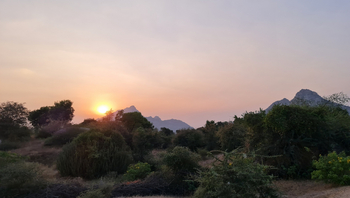 Jawai Jawai: Gezackter Horizont