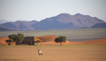 Kwessi Dunes: Gemsbok