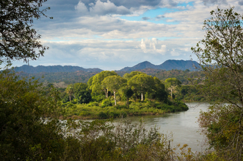 Mkulumadzi Lodge: Pristine Forest