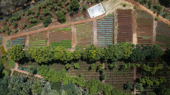 Ngorongoro Farmhouse: Garten von oben