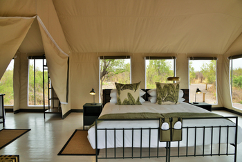 Nogatsaa Pans Chobe Lodge: Standard Tent
