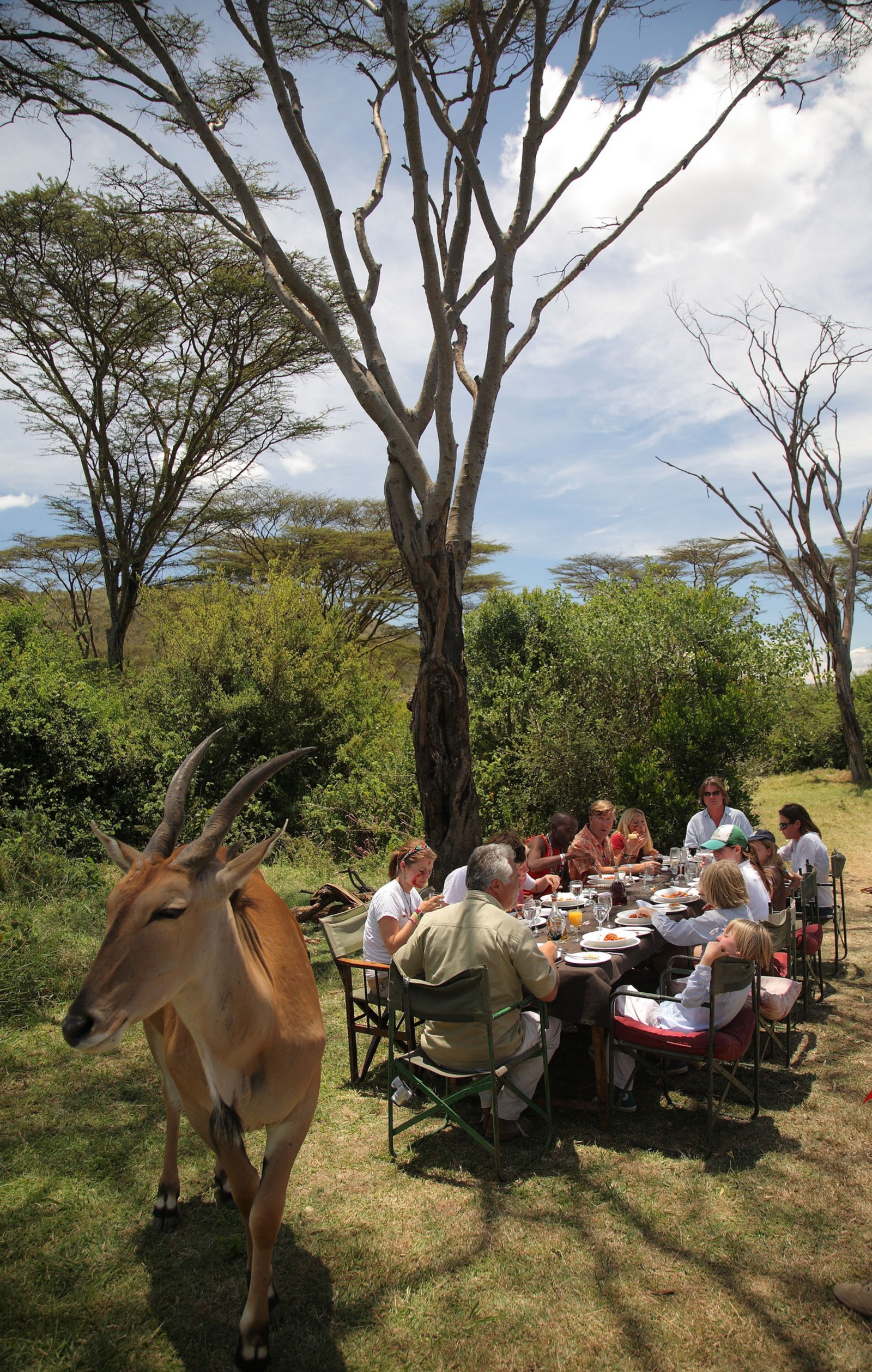 Saruni Mara Camp Saruni Mara Camp: Lunch al fresco