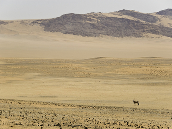 Serra Cafema Serra Cafema: Hartmann's Tal