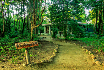 Singinawa Jungle Lodge: Wildernest