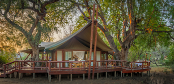 Tuli Safari Lodge Mashatu: Gästesuite unter Bäumen