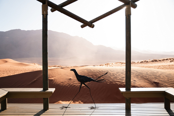 Wolwedans Desert Lodge: Sekretärskulptur