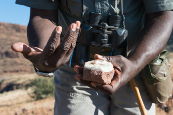 Etendeka Mountain Camp Etendeka Mountain Camp: Mineral