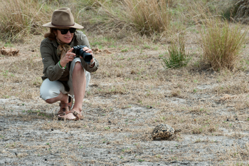 Jacana Camp: Leopardenschildkröte