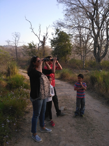Jim's Jungle Retreat: Birding Walk