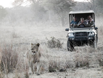 KaingU Safari Lodge: Game Drive