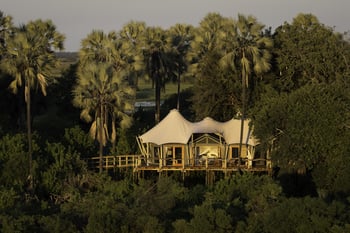 Kwetsani Camp: Treehouse Chalet
