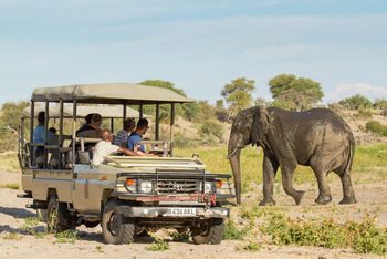 Leroo La Tau Lodge: Nasser Elefant