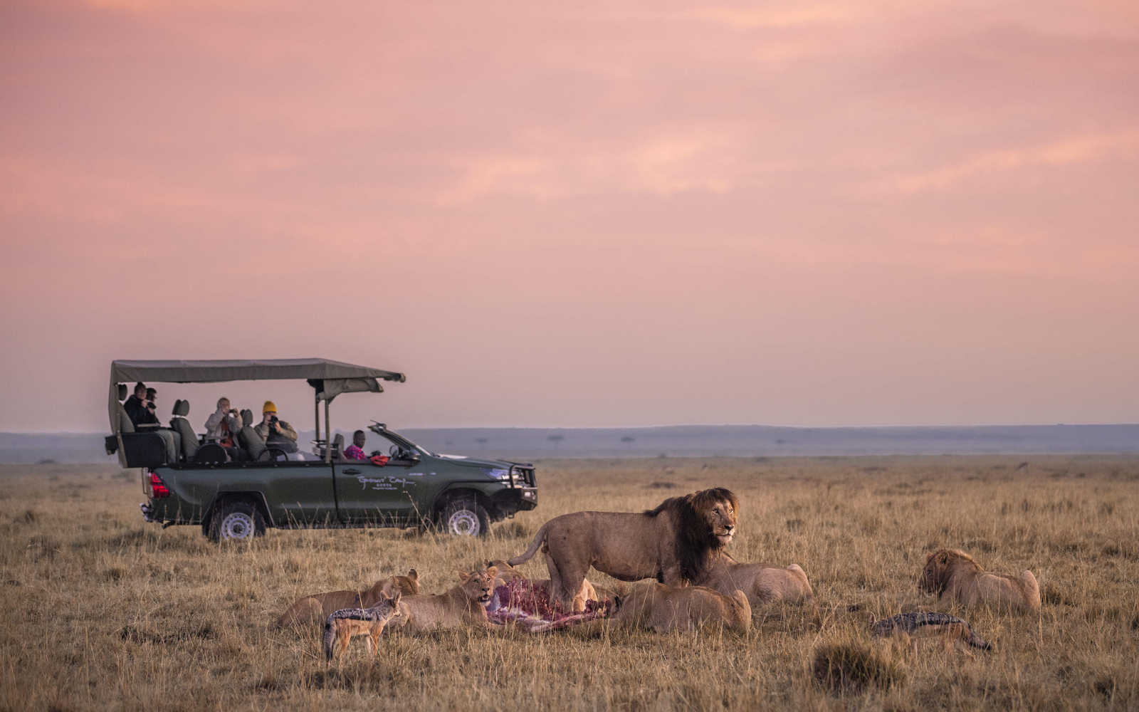 Little Governors' Camp Little Governors' Camp: Löwenrudel