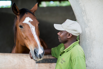 Mihingo Lodge: Reiten